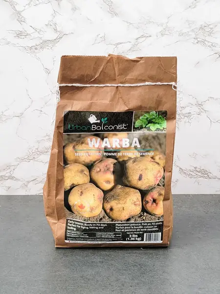 Warba Urban Balconist Seed Potatoes 3lb