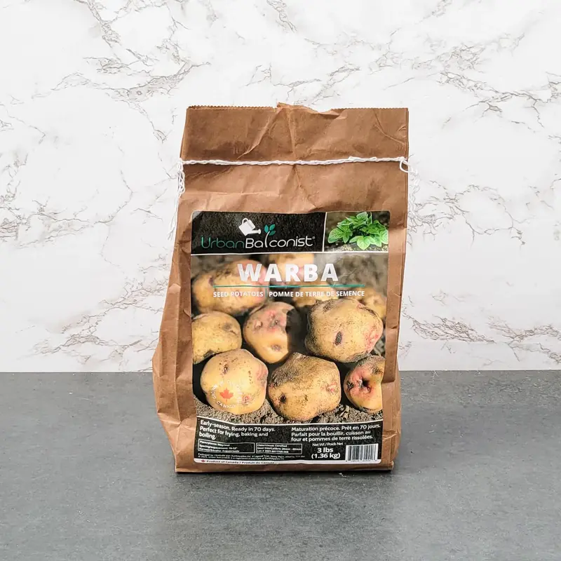 Warba Urban Balconist Seed Potatoes 3lb