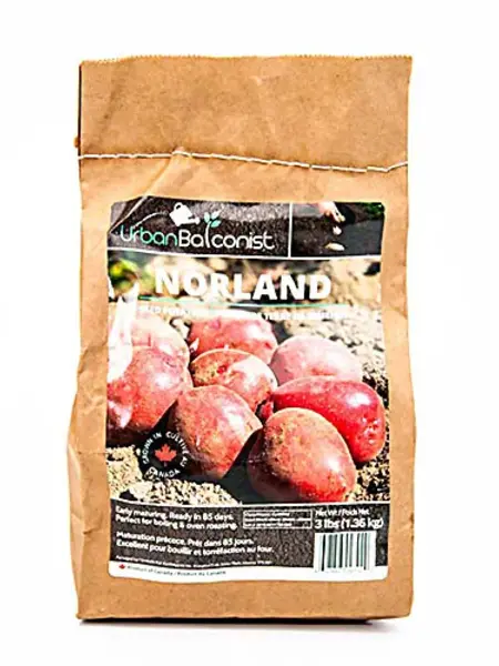 Earth Apples Norland Urban Balconist Seed Potatoes 3lb