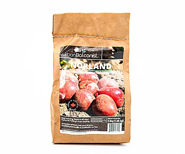 Earth Apples Norland Urban Balconist Seed Potatoes 3lb