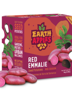 Earth Apples Red Emmalie Seed Potatoes 1kg