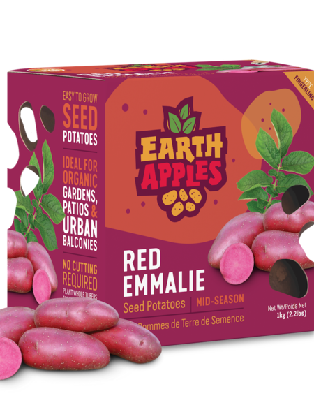 Earth Apples Red Emmalie Seed Potatoes 1kg