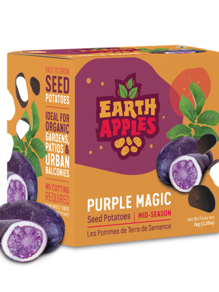 Earth Apples Purple Magic Seed Potatoes 1kg