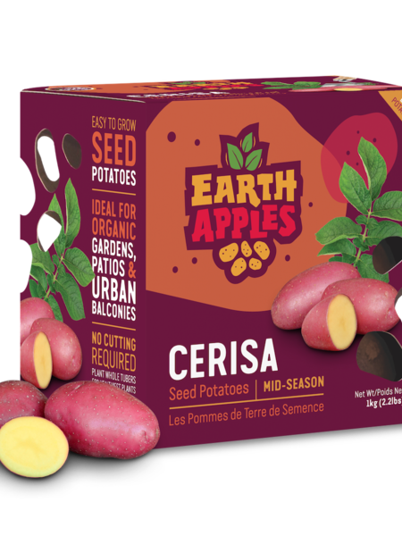 Earth Apples Cerisa Seed Potatoes 1kg