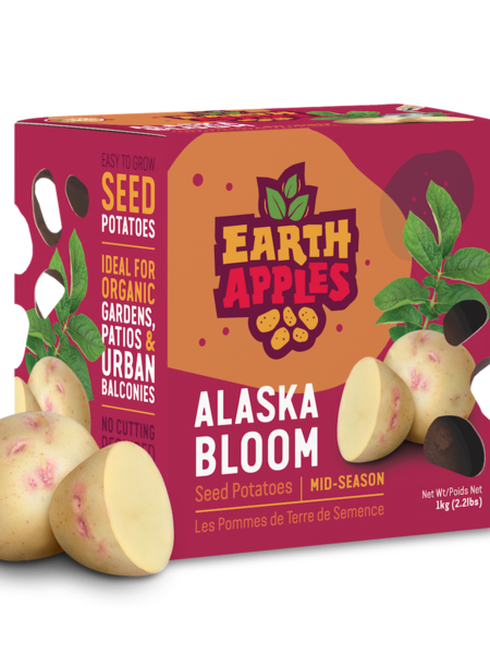 Earth Apples Alaska Bloom Seed Potatoes 1kg