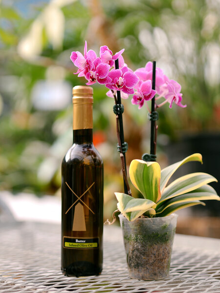 Dutch Growers Orchid & Olive Oil Admin Day Bundle