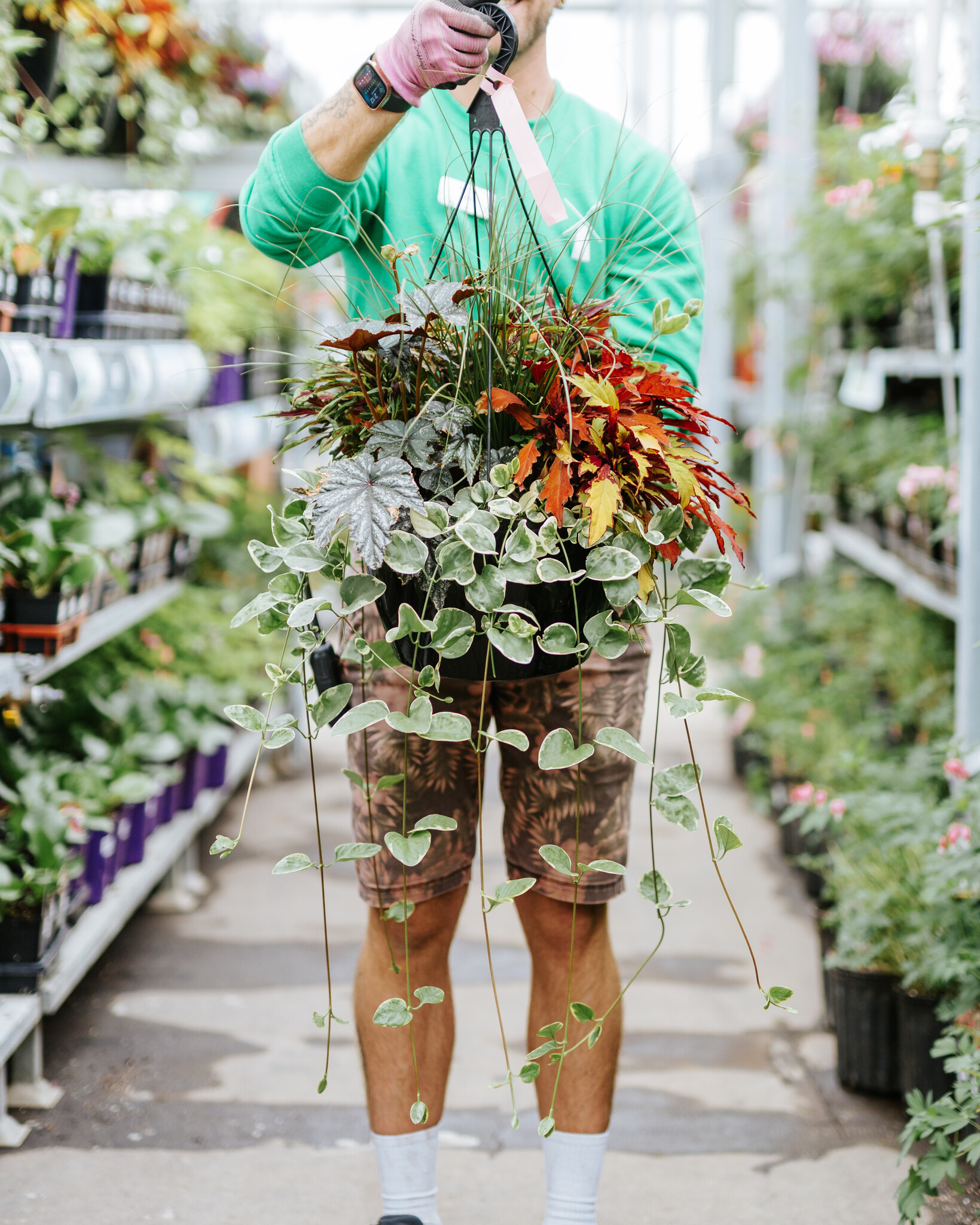 Grass Phoenix #17 Hanging Basket 14" Shade