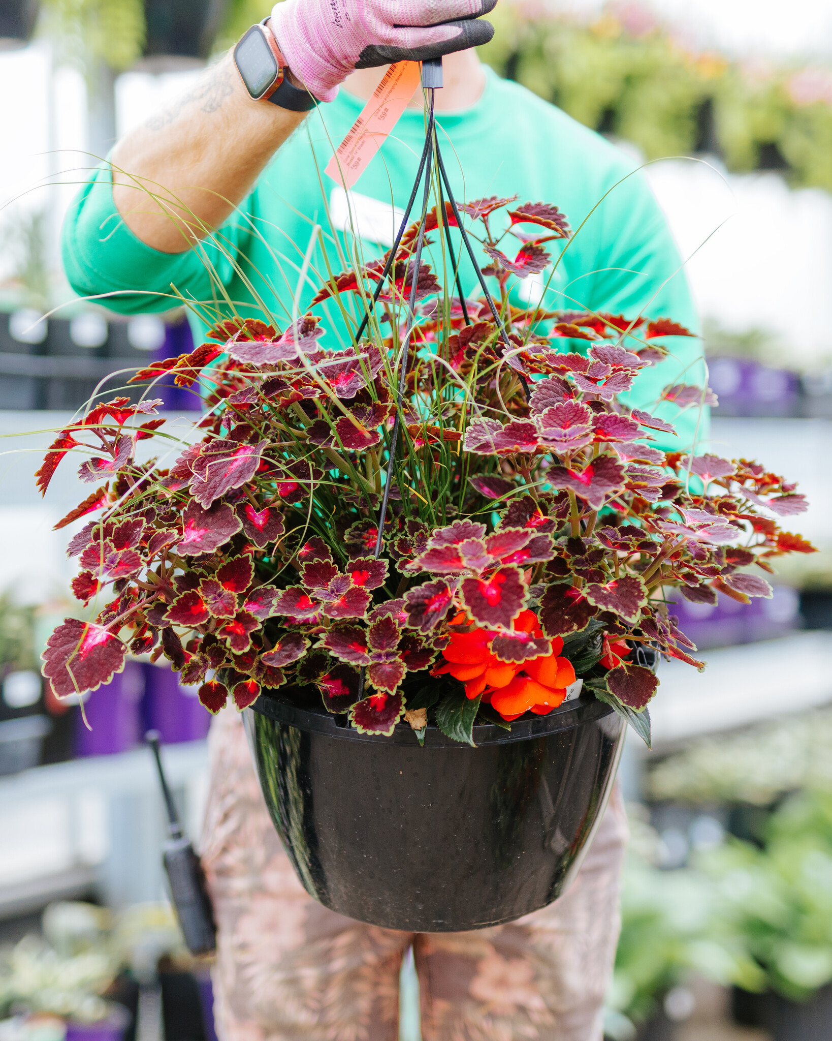 Coral Swirl #19 Hanging Basket 14" Shade