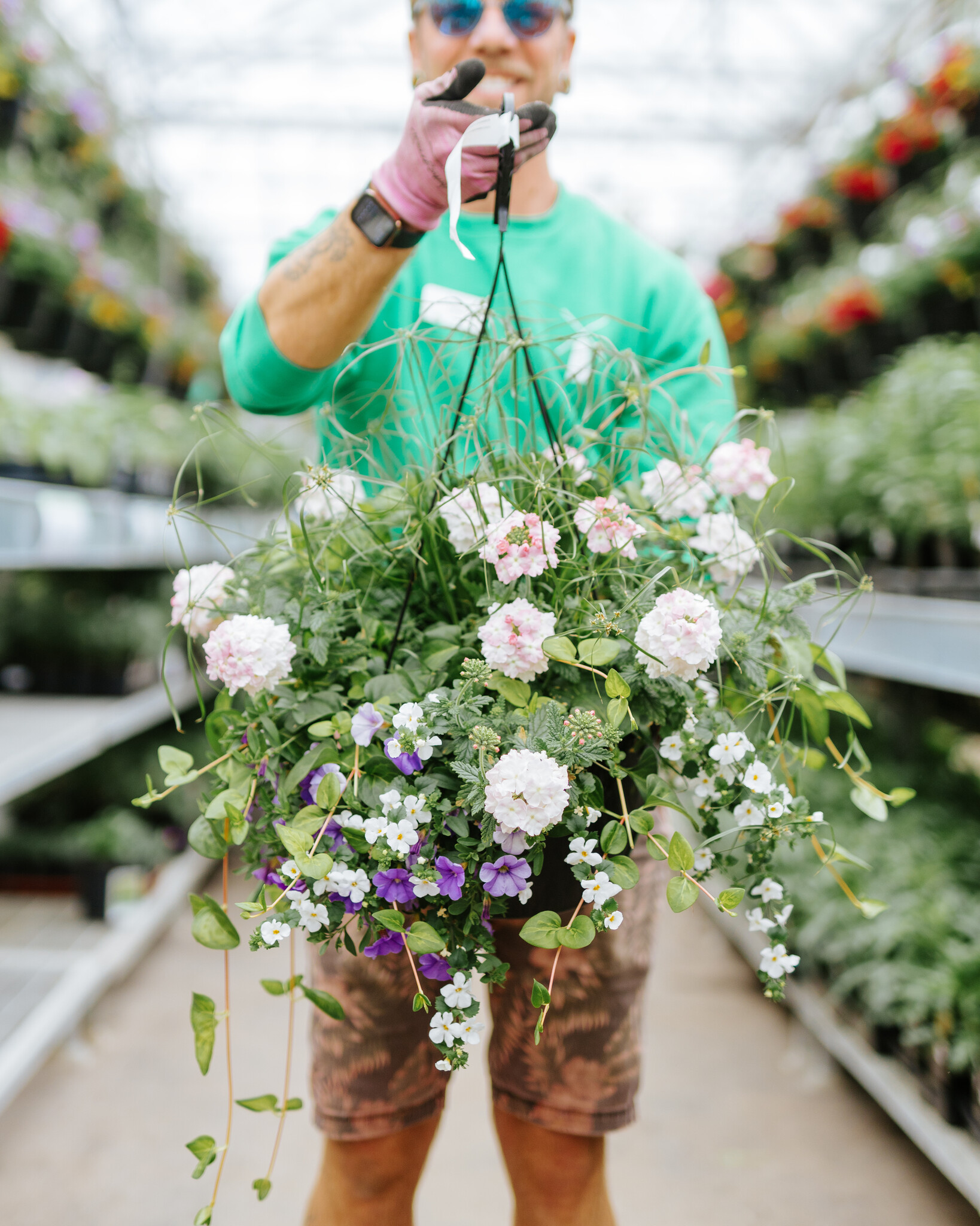 Blueberry Parfait #5 Hanging Basket 14" Sun