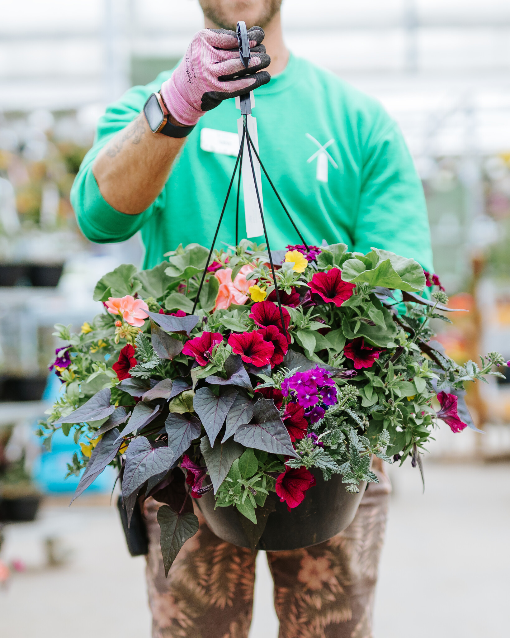 Bejeweled #13 Hanging Basket 14" Sun