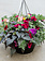 Bejeweled #13 Hanging Basket 14" Sun