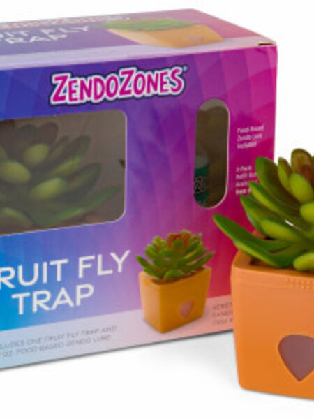Faux Plant Fruit Fly Trap