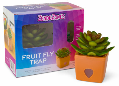 Faux Plant Fruit Fly Trap