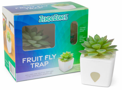 Faux Plant Fruit Fly Trap