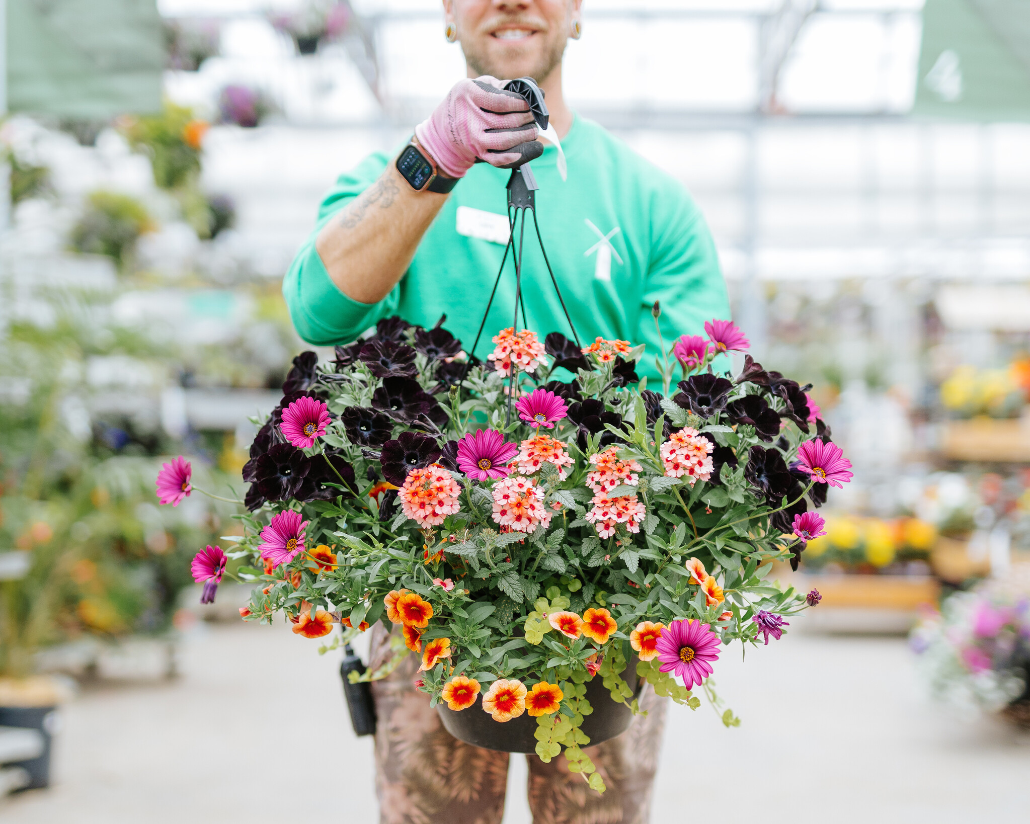Daisy Dance #10 Hanging Basket 14" Sun