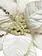 Clip On Poinsettia 12"