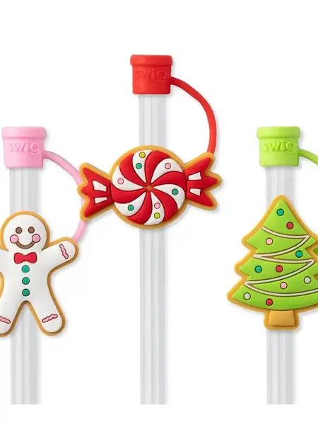 Swig Life Straw Topper Set