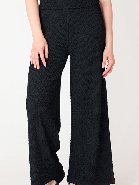 Dex Textured Flowy Wide Leg Pant
