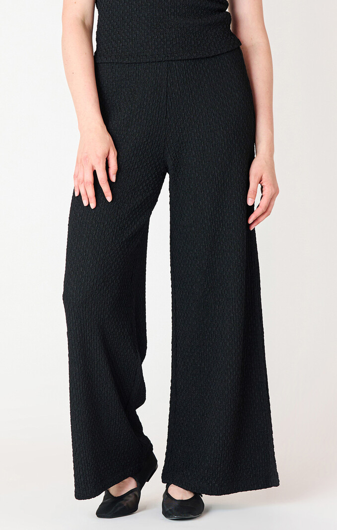 Dex Textured Flowy Wide Leg Pant