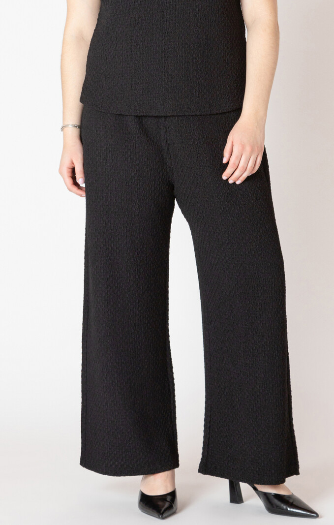 Dex Textured Flowy Wide Leg Pant