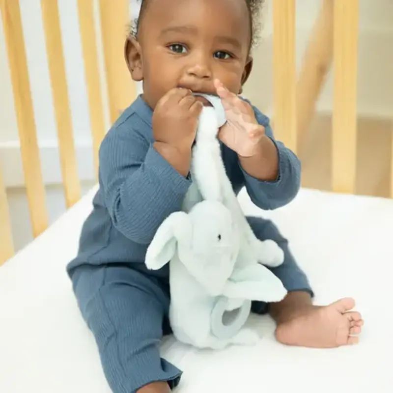 Bella Tunno Teether Buddy