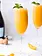 Peach Bellini Slush Mix 10oz