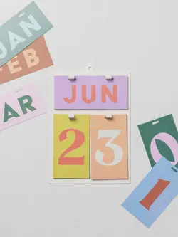 Designworks Ink Perpetual Wall Calendar Colour Block