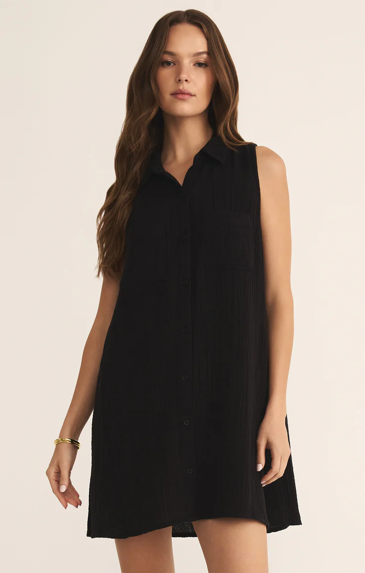 Z Supply New Light Mini Dress