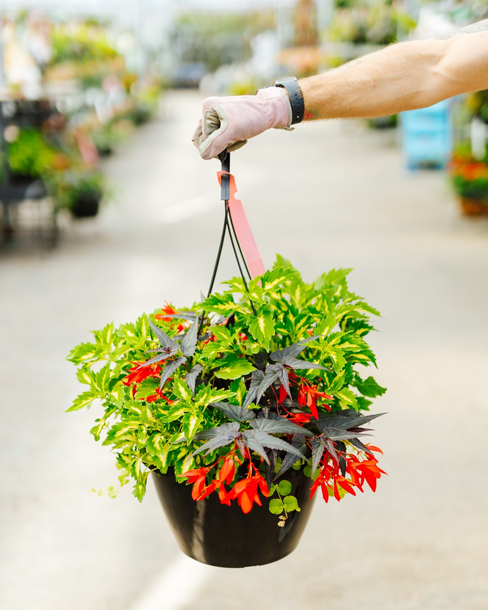 Single Ladies Slay #21 Hanging Basket 14" Shade