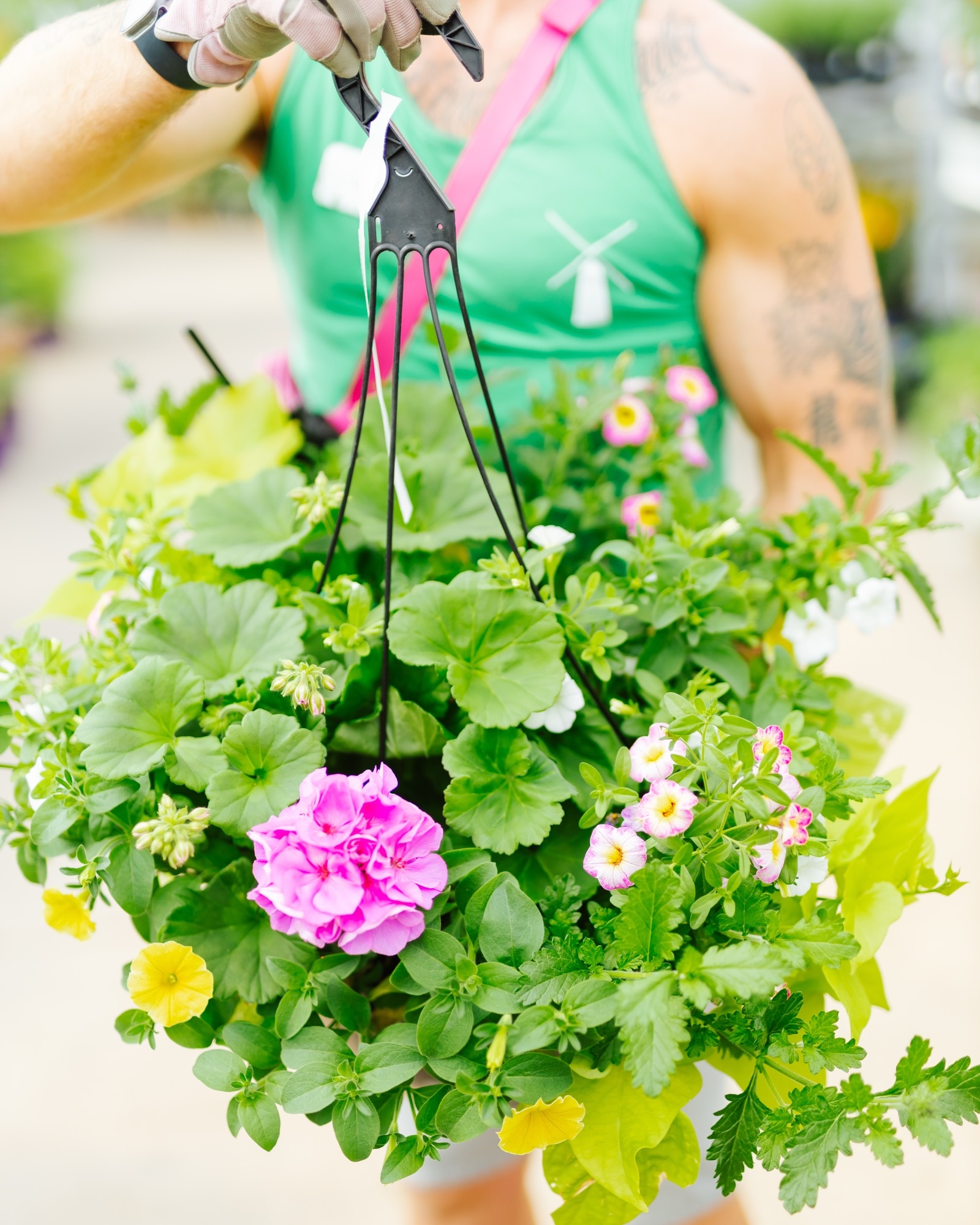 Great Escape #8 Hanging Basket 14" Sun