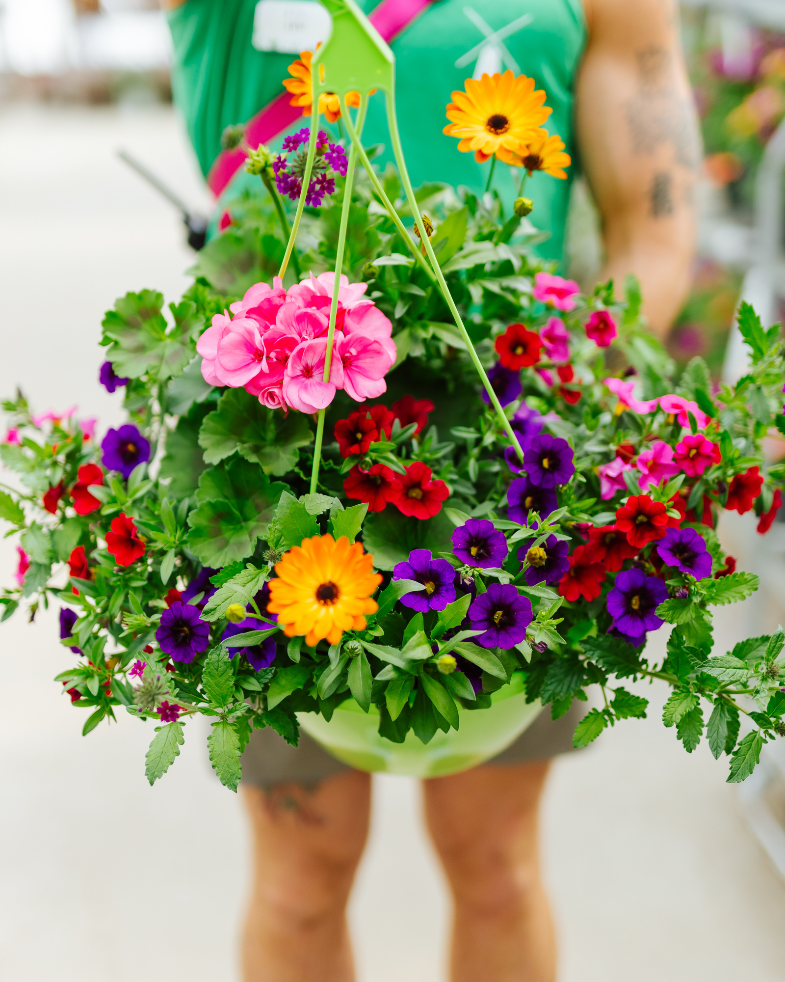 Plum Wine #5 Hanging Basket 14" Sun