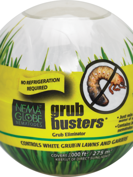 Nema Globe Nematode Globe Grub Busters
