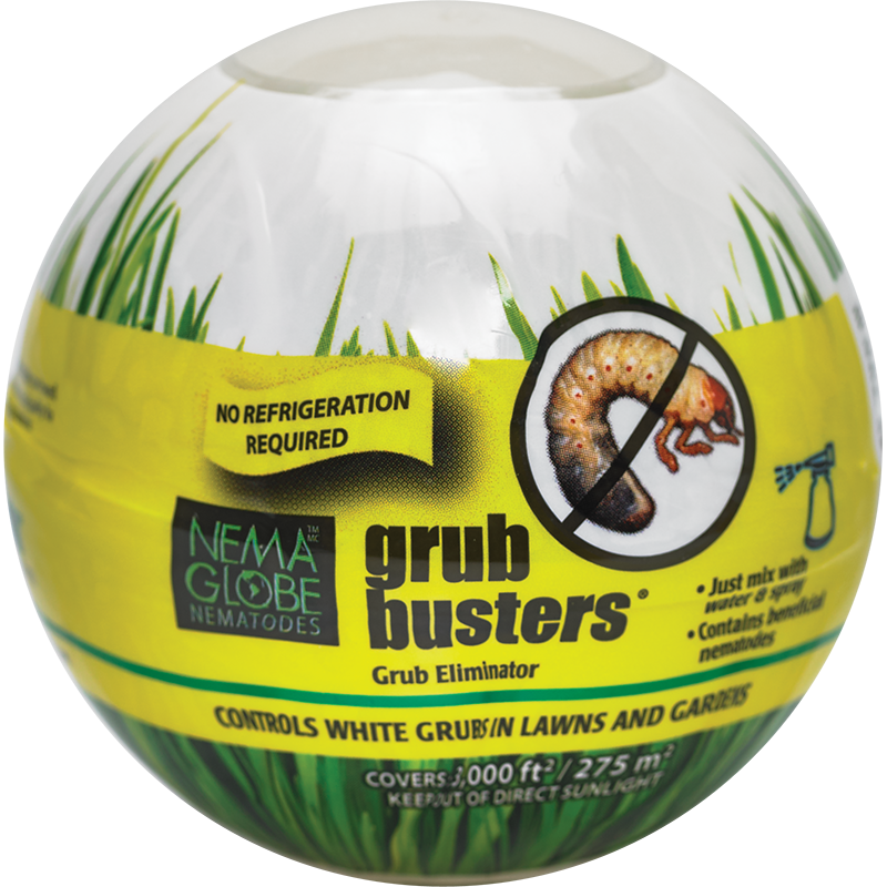 Nema Globe Nematode Globe Grub Busters