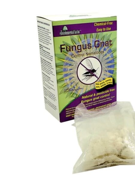 EFI Fungus Gnat Control Nematodes 2 Pack