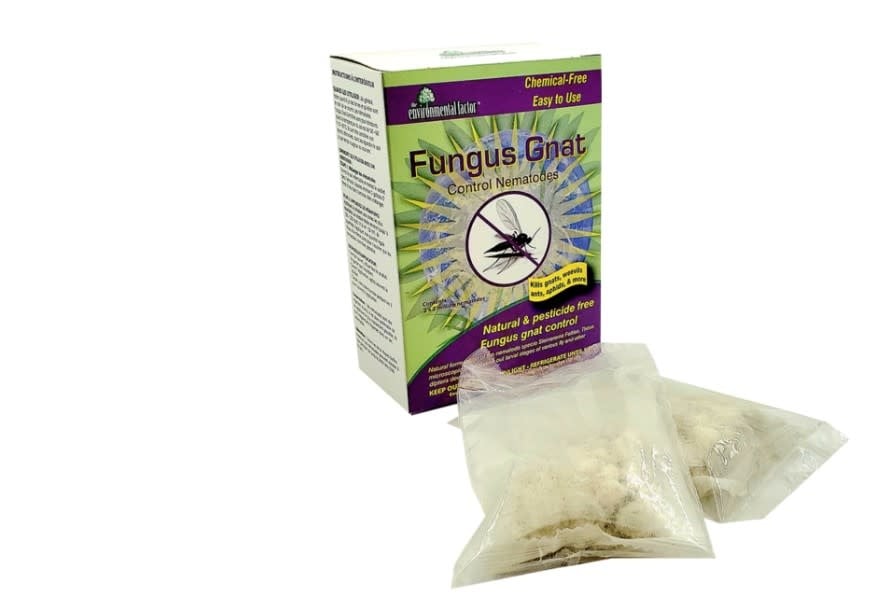EFI Fungus Gnat Control Nematodes 2 Pack