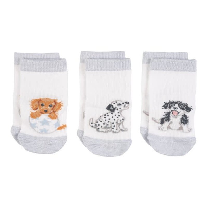 Wrendale Little Baby Socks Set