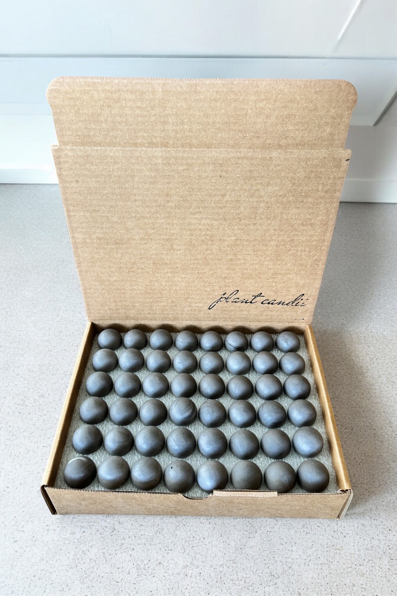 Plant Candii Sphere Plant Candii