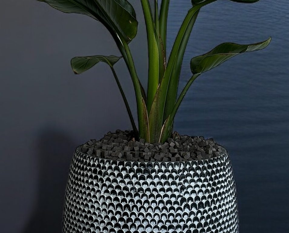 Plant Candii Cube Plant Candii