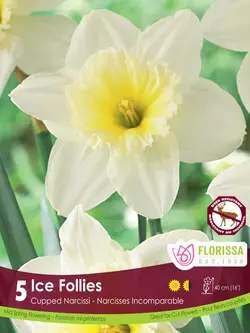 Florissa Narcissus Ice Follies