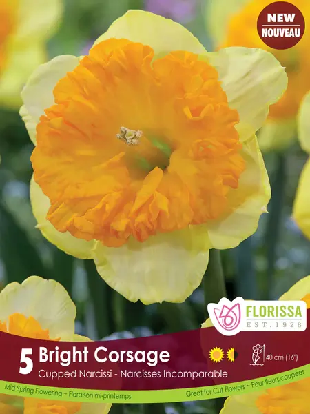 Florissa Narcissus Bright Corsage