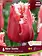 Florissa Tulip New Santa