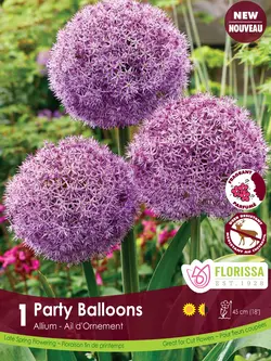 Florissa Allium Party Balloons