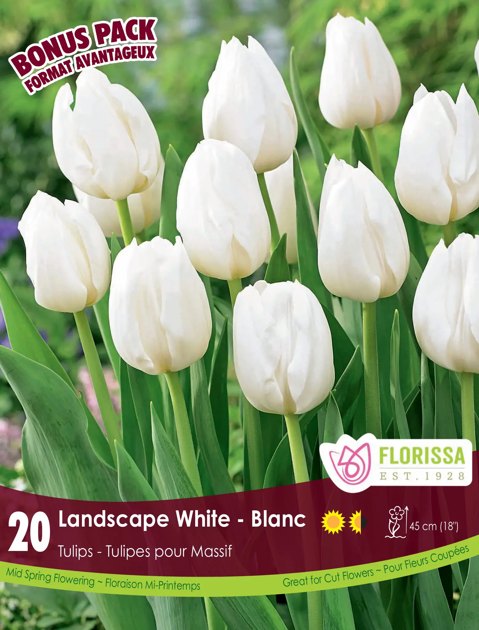 Florissa Tulip Landscape White