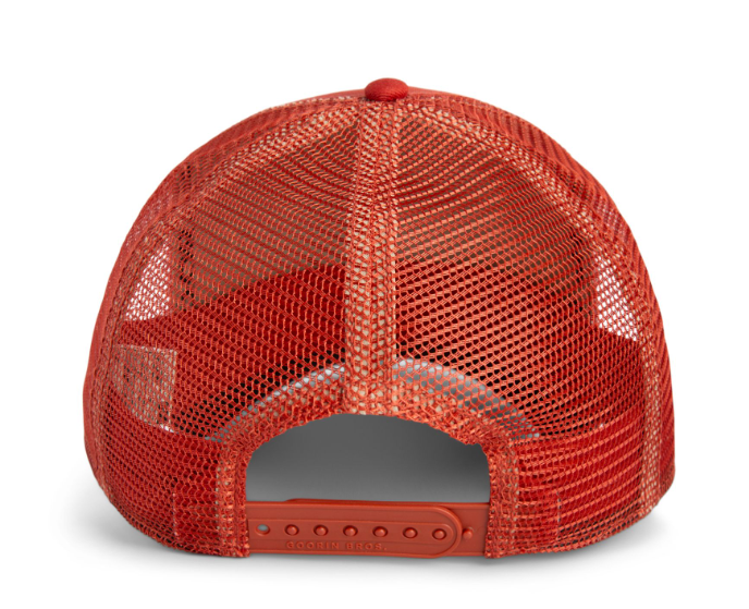 Goorin Bros The Extinct Skull