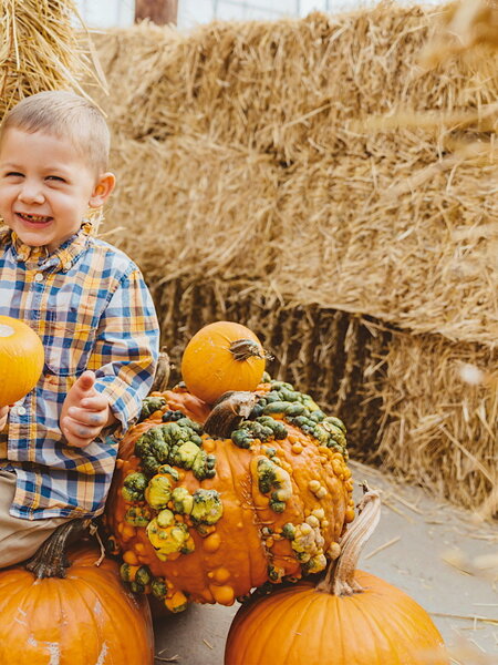 '25 Pumpkin Maze Group Bookings
