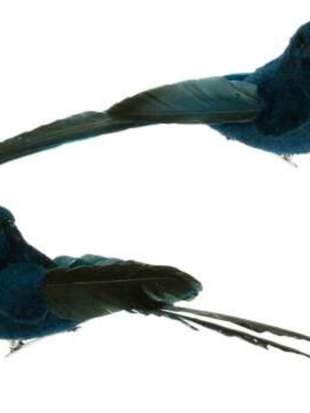 Blue Feather Bird on Clip 6.5"