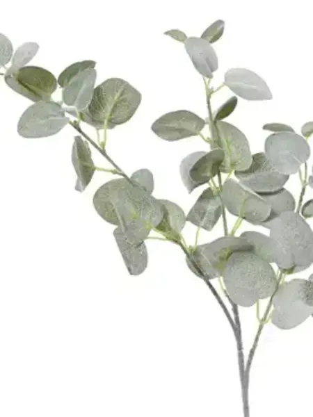 Eucalyptus Spray 69cm
