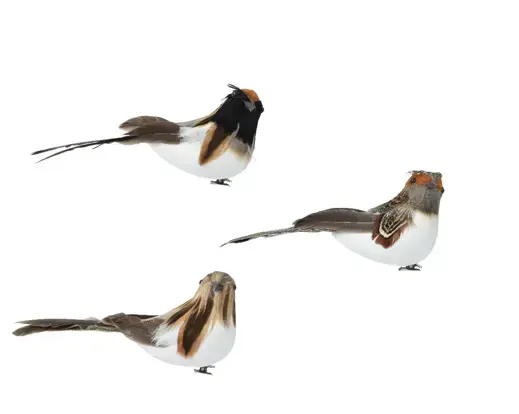 Foam Bird on Clip Natural Tone