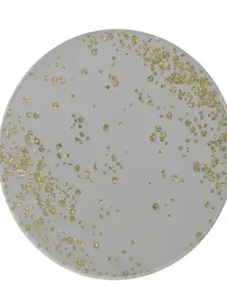 Gold Flakes Glass Plate Silver