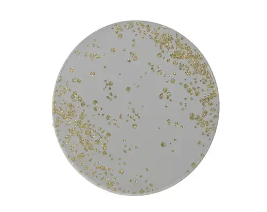 Gold Flakes Glass Plate Silver